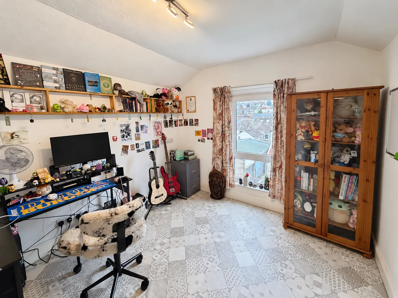 Marlborough Road, Brynmill, SA2, photo 16