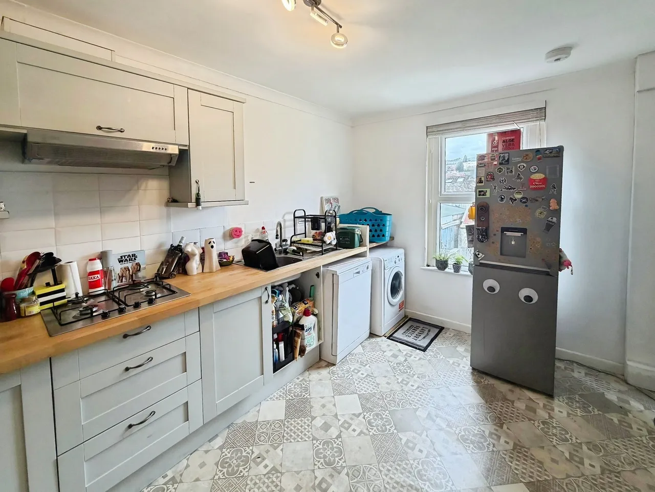 Marlborough Road, Brynmill, SA2, photo 13