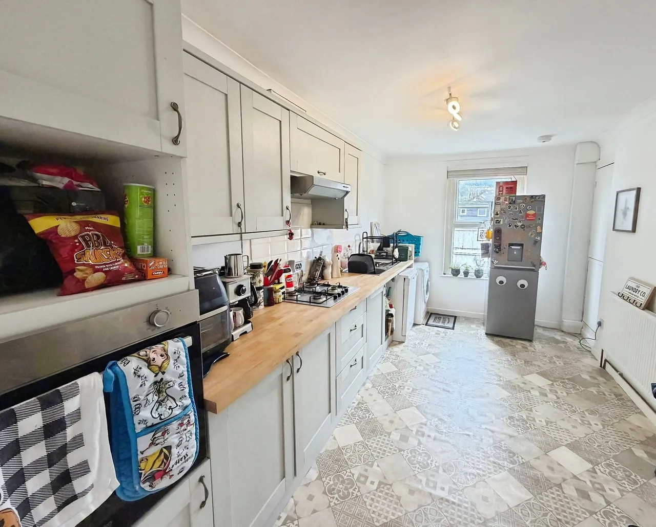 Marlborough Road, Brynmill, SA2, photo 12