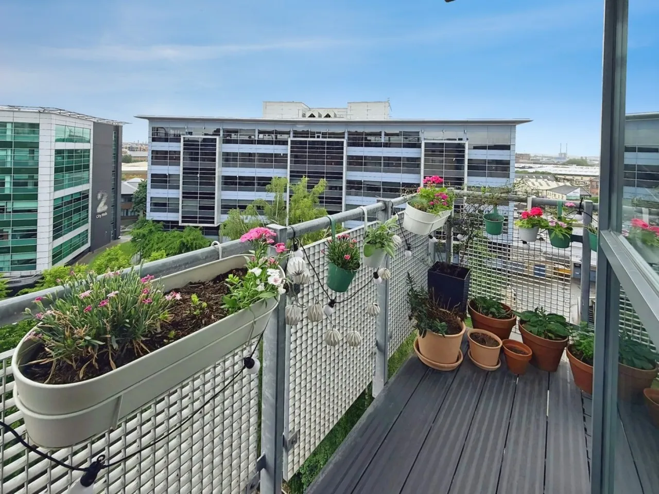 Velocity South, City Walk, photo 6