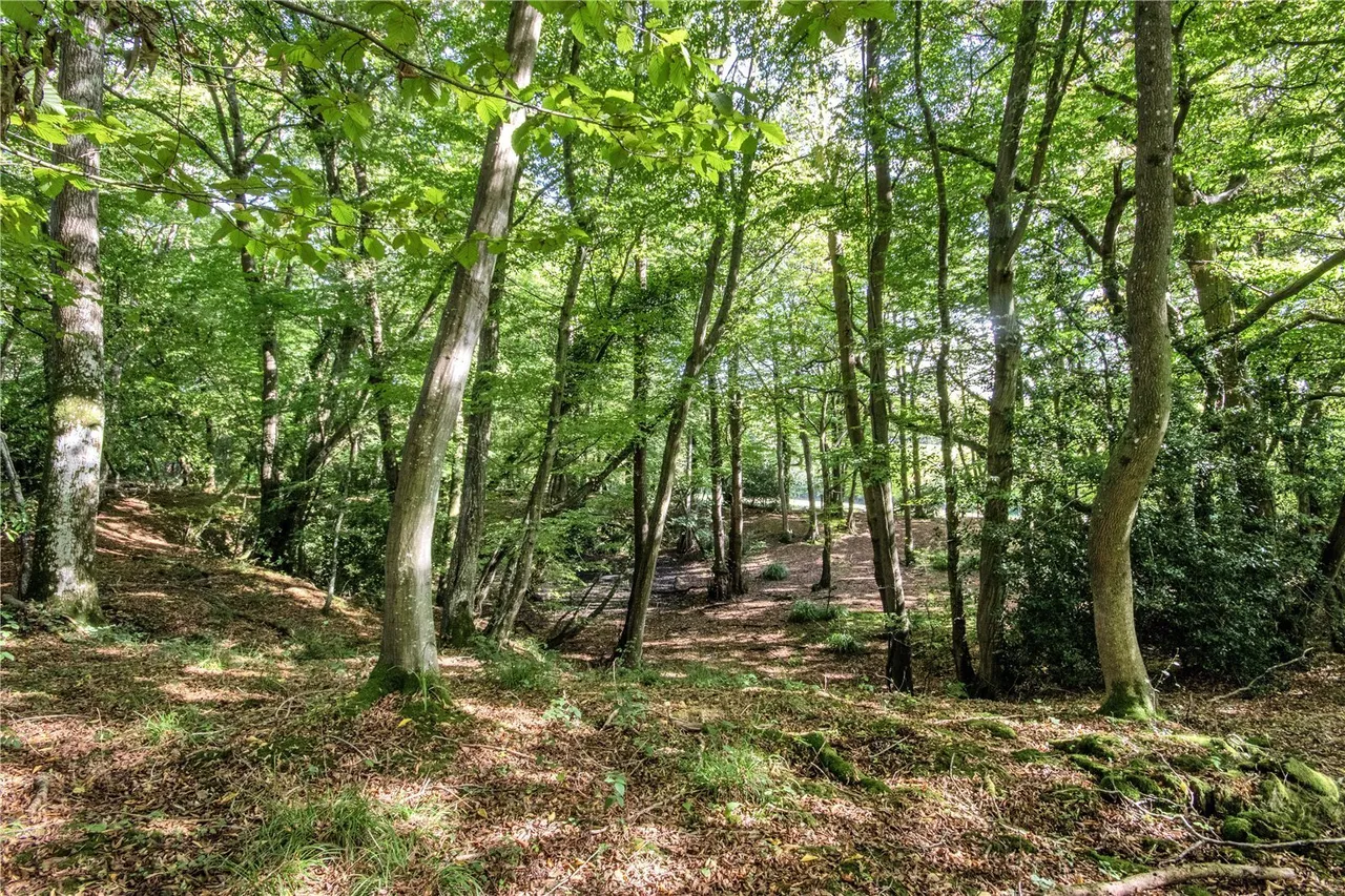 Silverhill, Robertsbridge, TN32, photo 11