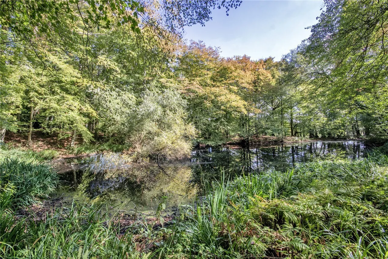 Silverhill, Robertsbridge, TN32, photo 9