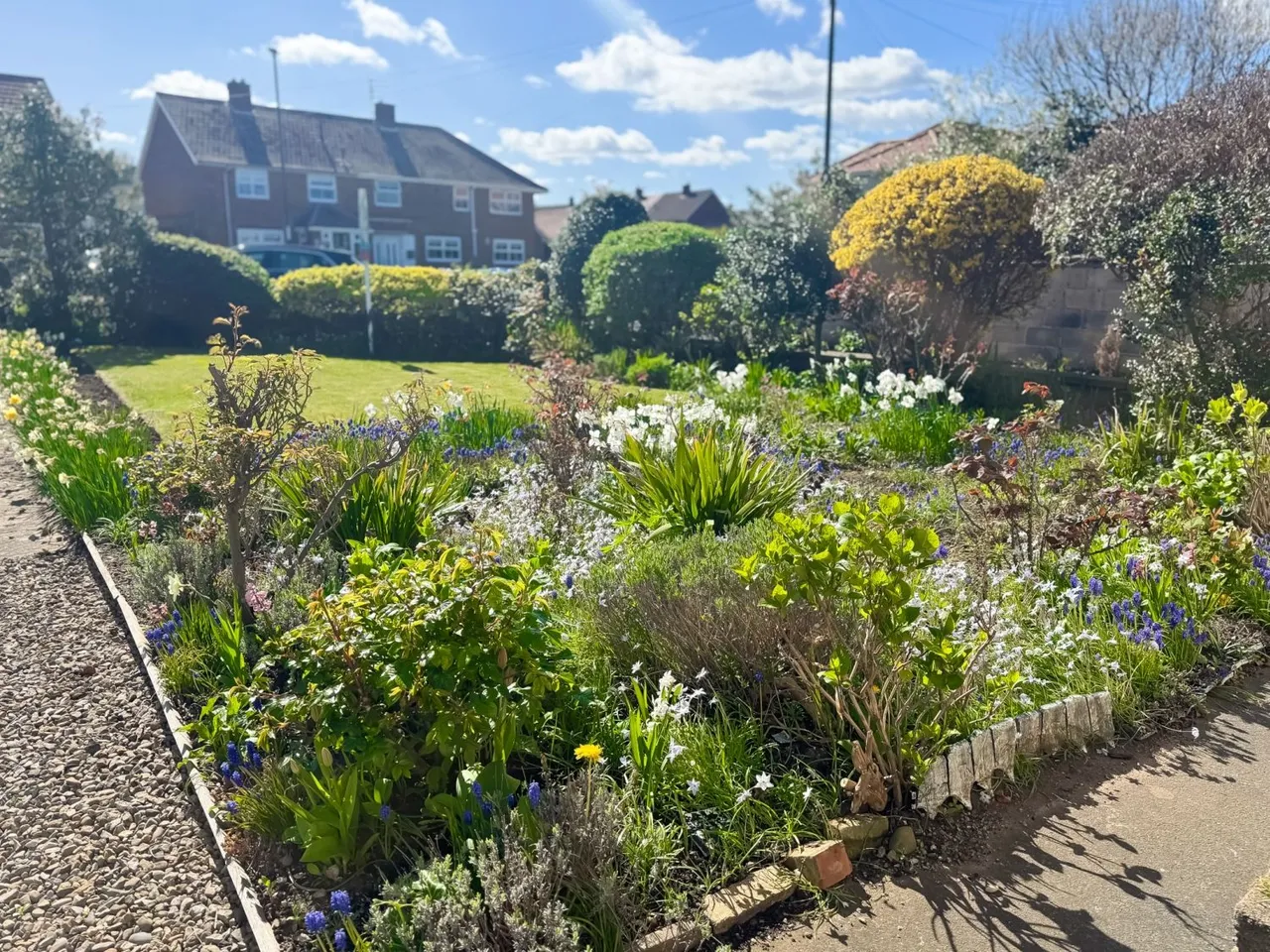 St. Germains Lane, Marske-by-the-Sea, TS11, photo 5