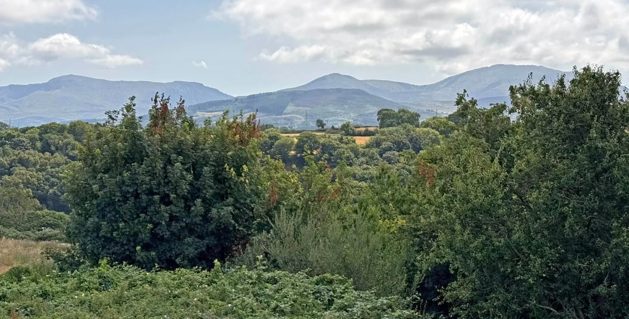 Bron, Penrhosgarnedd, photo 14