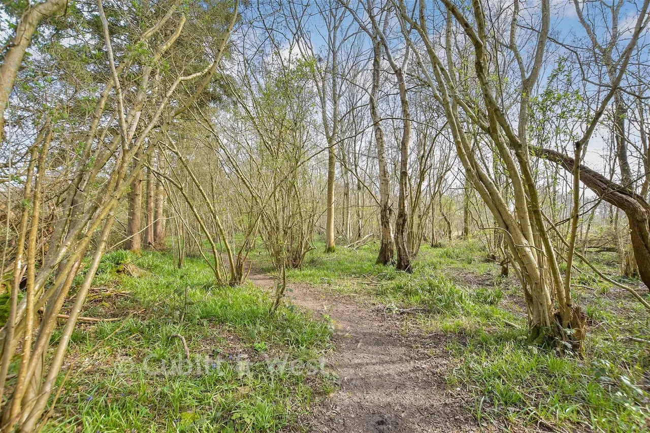 Horsham Road, Walliswood, RH5, photo 8