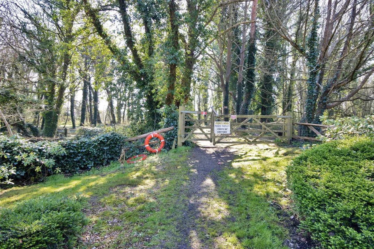 Hunter Seal, Leigh, photo 20
