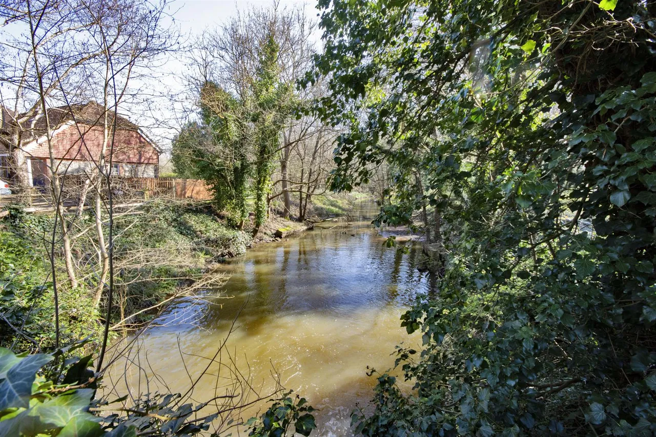 Hunter Seal, Leigh, photo 21