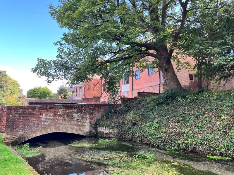 Bassetsbury Lane, High Wycombe HP11 1SF, photo 16
