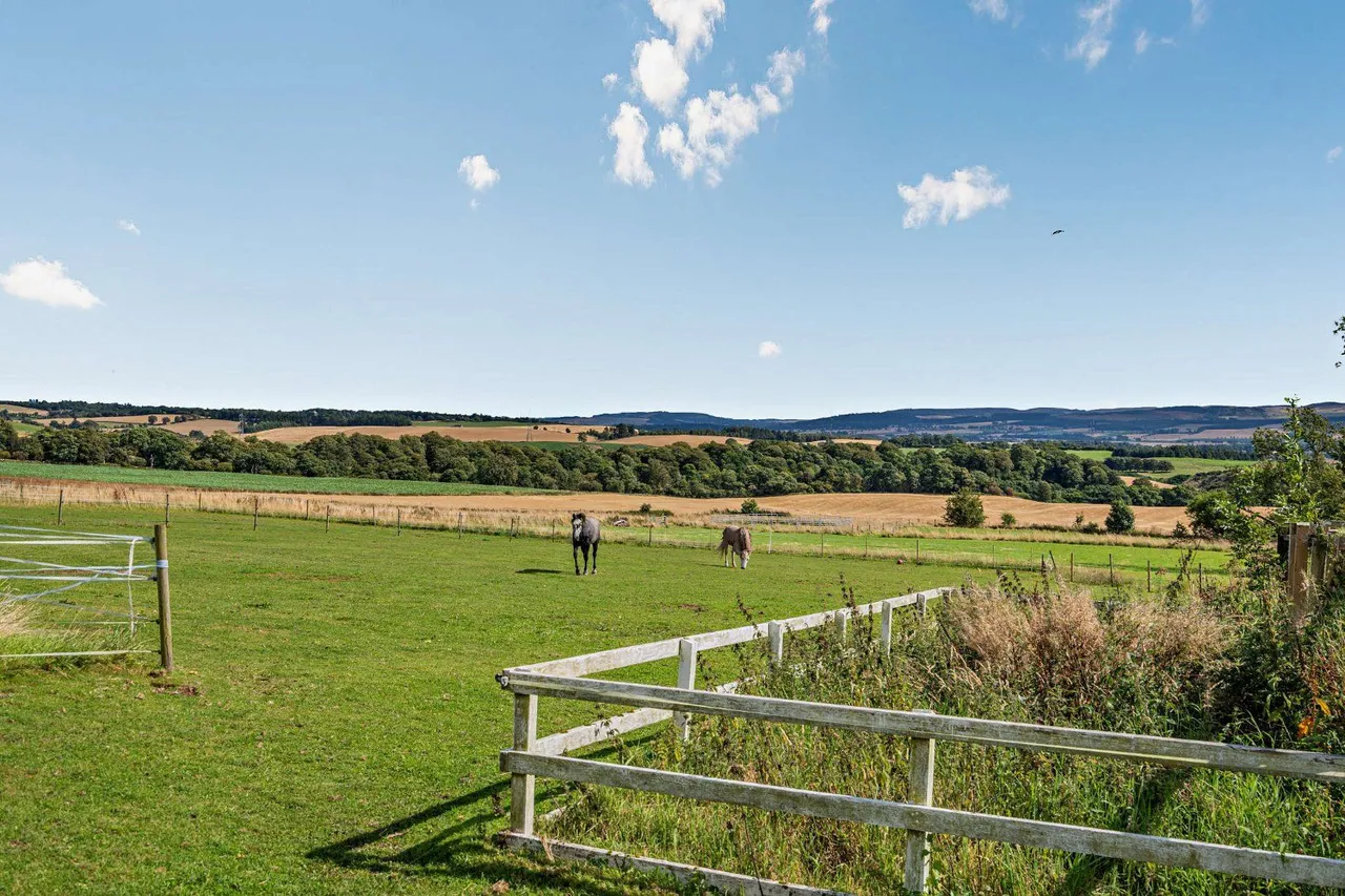 Alyth, Blairgowrie, Perthshire, PH11 8JT, photo 12