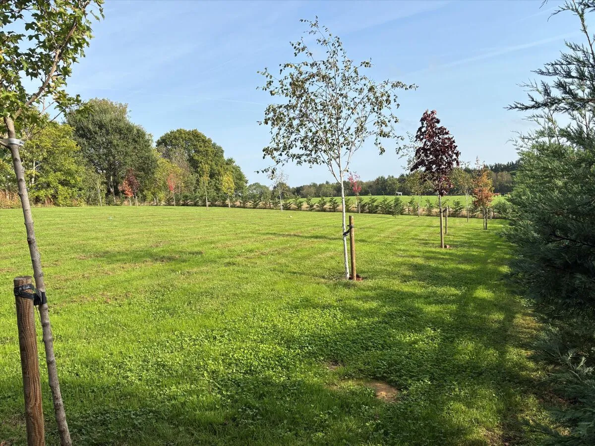 Reservoir Lane, Petersfield, GU32, photo 19