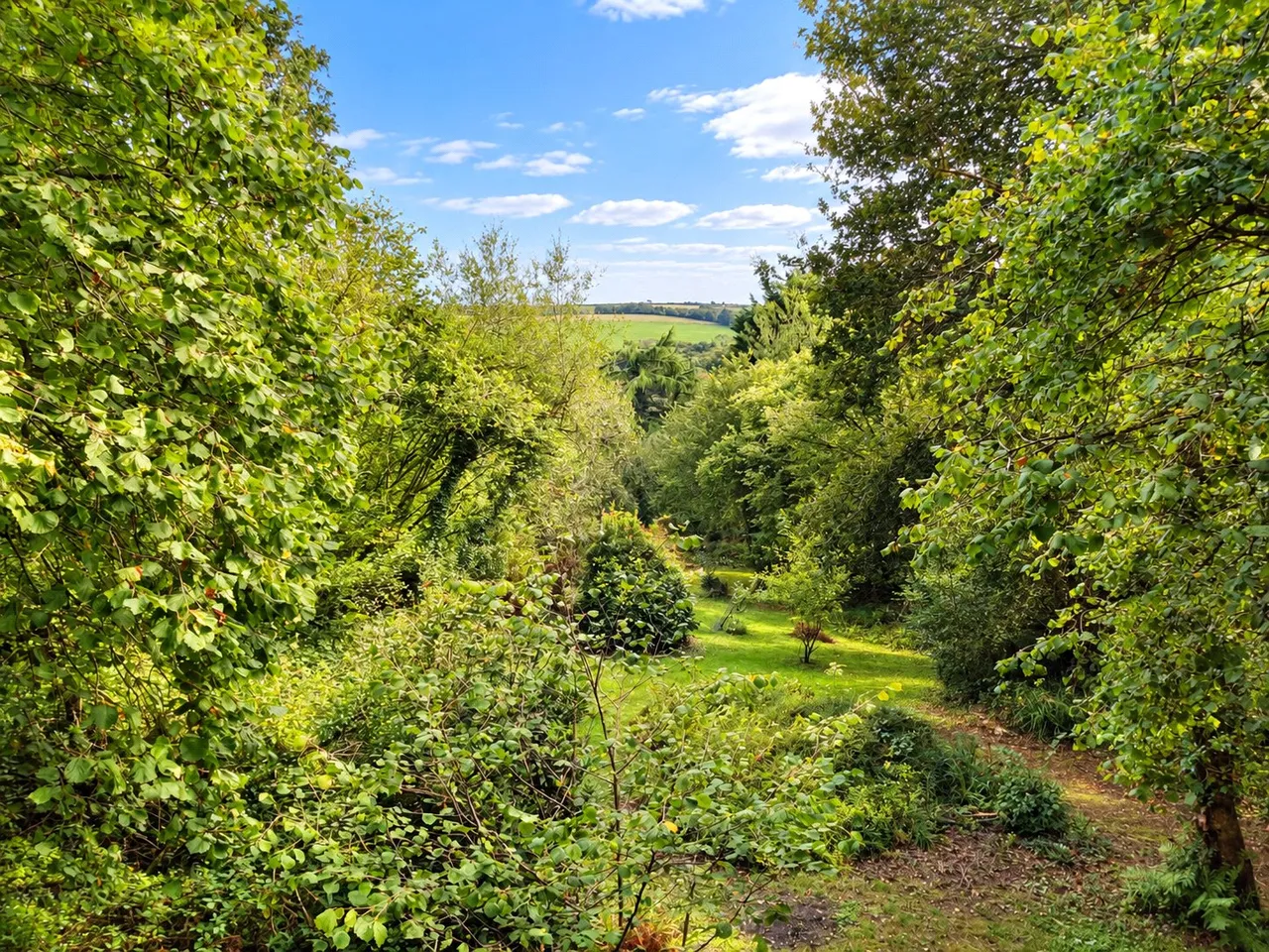 Hellandbridge, Bodmin, photo 41