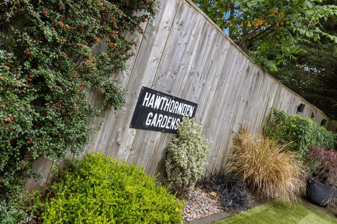 Strathearn Park, Belfast, BT4, photo 49