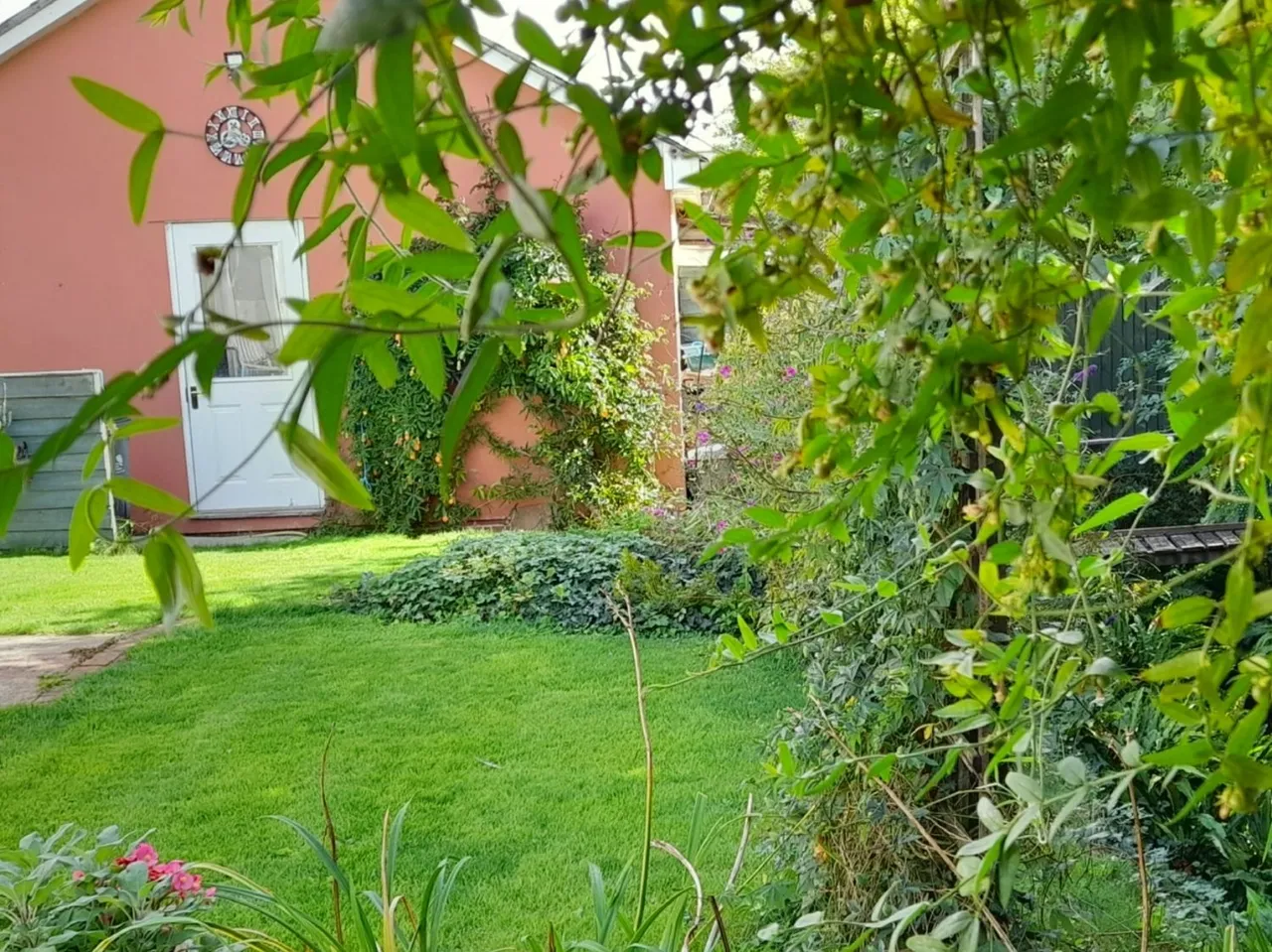 Larks Meadow, Stalbridge, DT10, photo 20