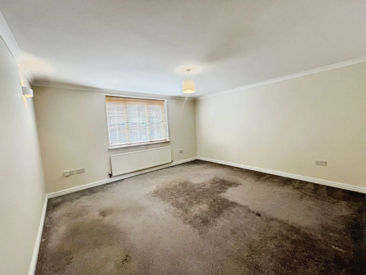 Elvetham Rise, Chineham, Basingstoke, Basingstoke, RG24 8ET, photo 4