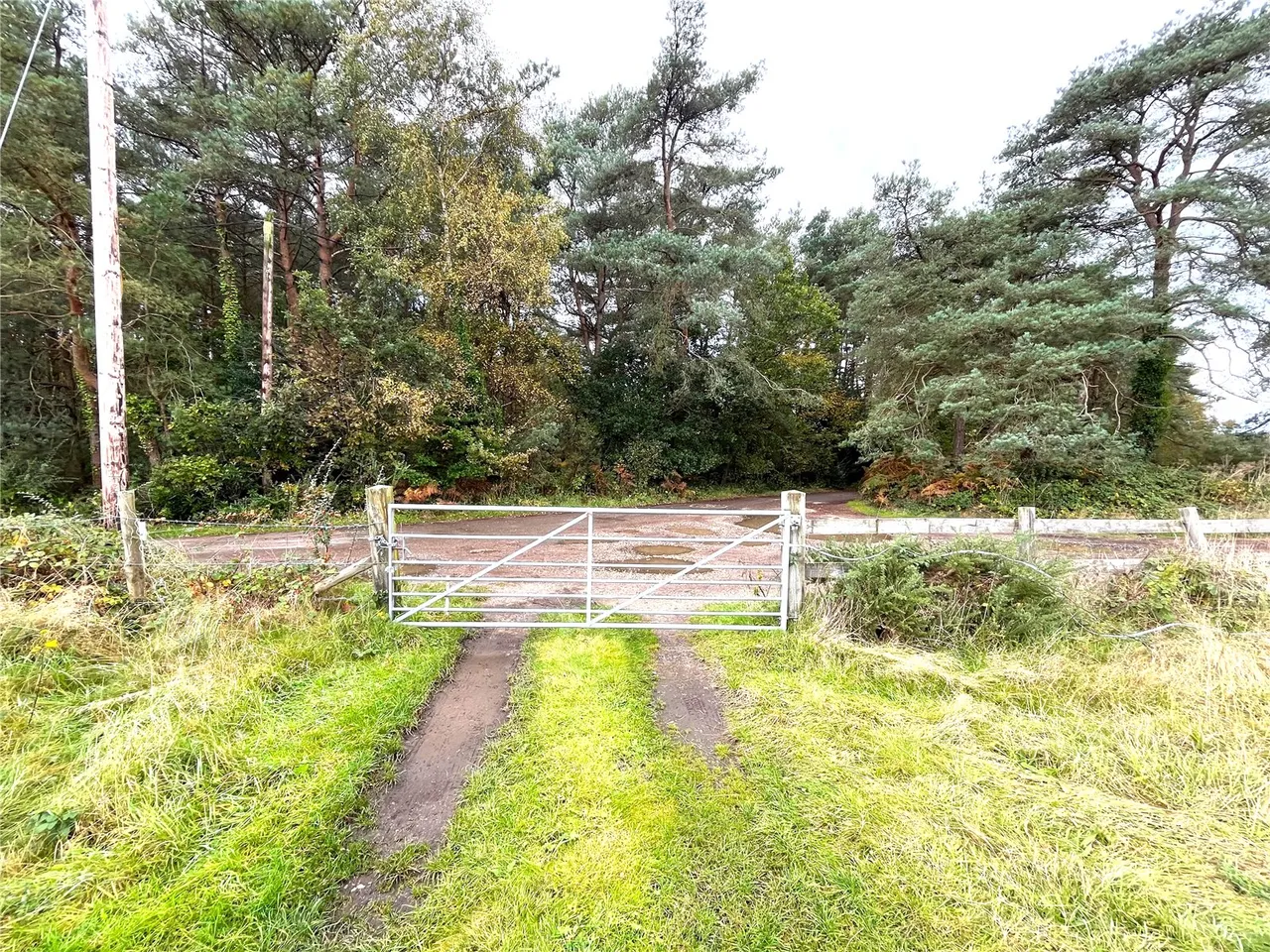Foxbury Road, St. Leonards, Ringwood, Dorset, BH24 2SG, photo 6