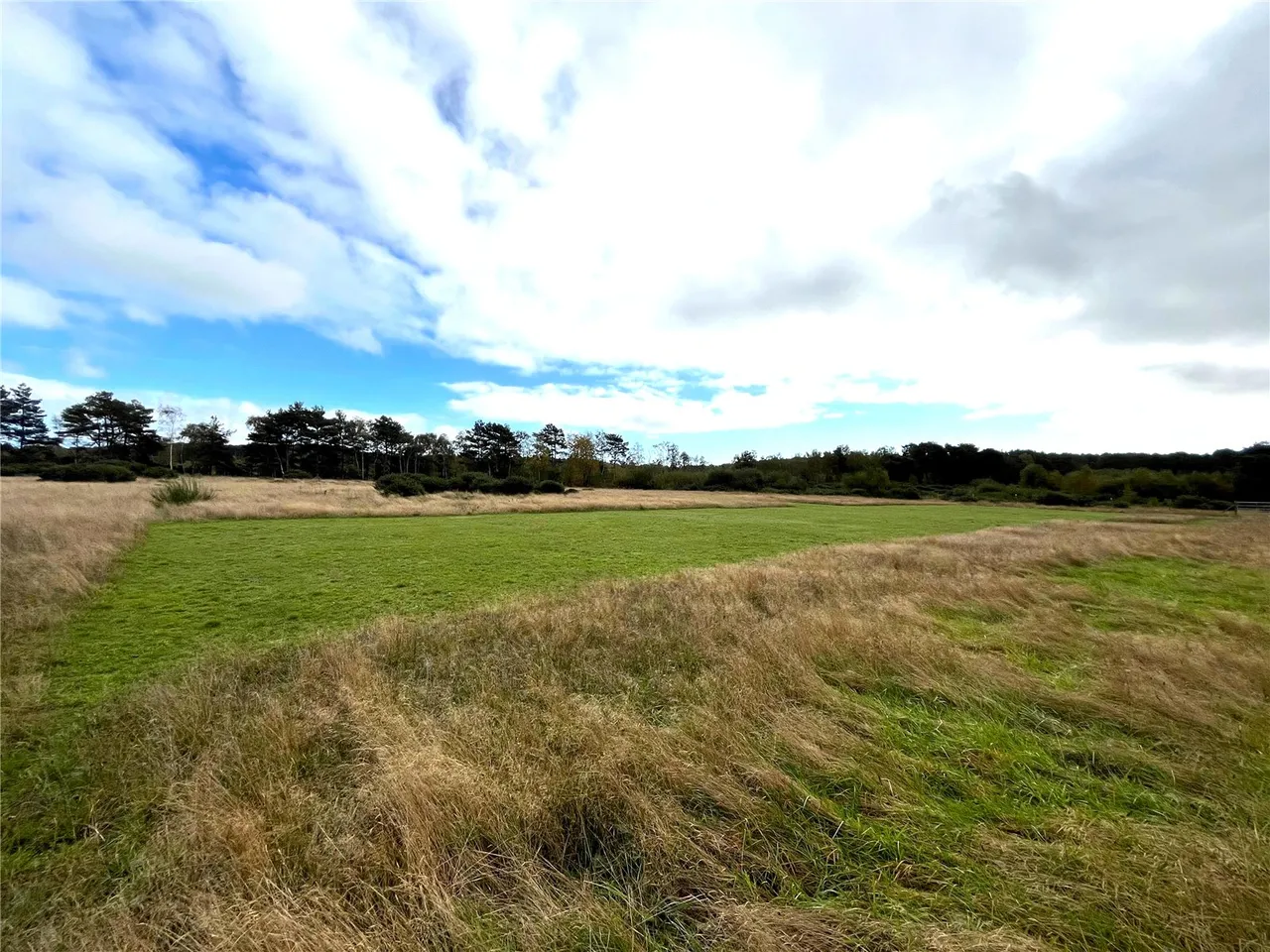 Foxbury Road, St. Leonards, Ringwood, Dorset, BH24 2SG, photo 8