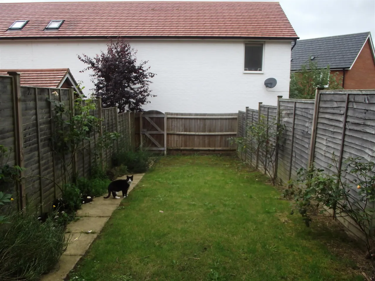 St. Helena Avenue, Newton Leys, MK3, photo 13