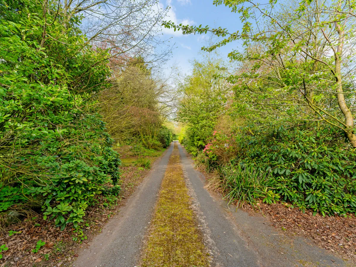 Pines Lane, ST8, photo 47