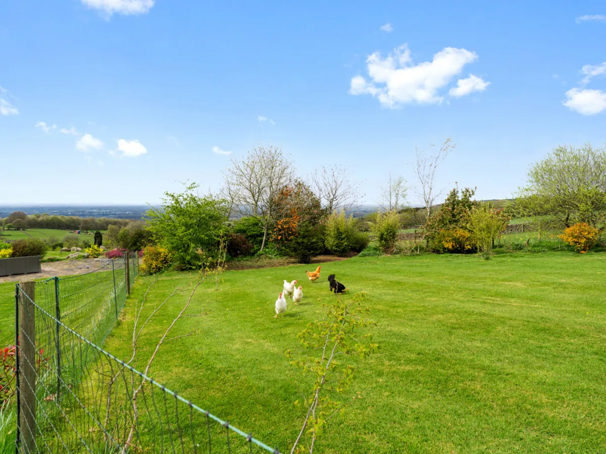 Pines Lane, ST8, photo 31