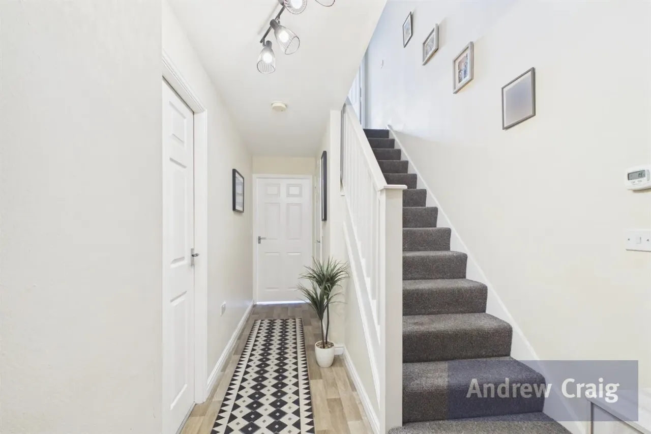 Gerald Street, South Shields, NE34, photo 5