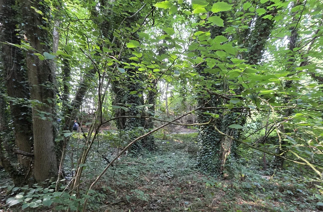 Whitepost Lane, Meopham, DA13, photo 2