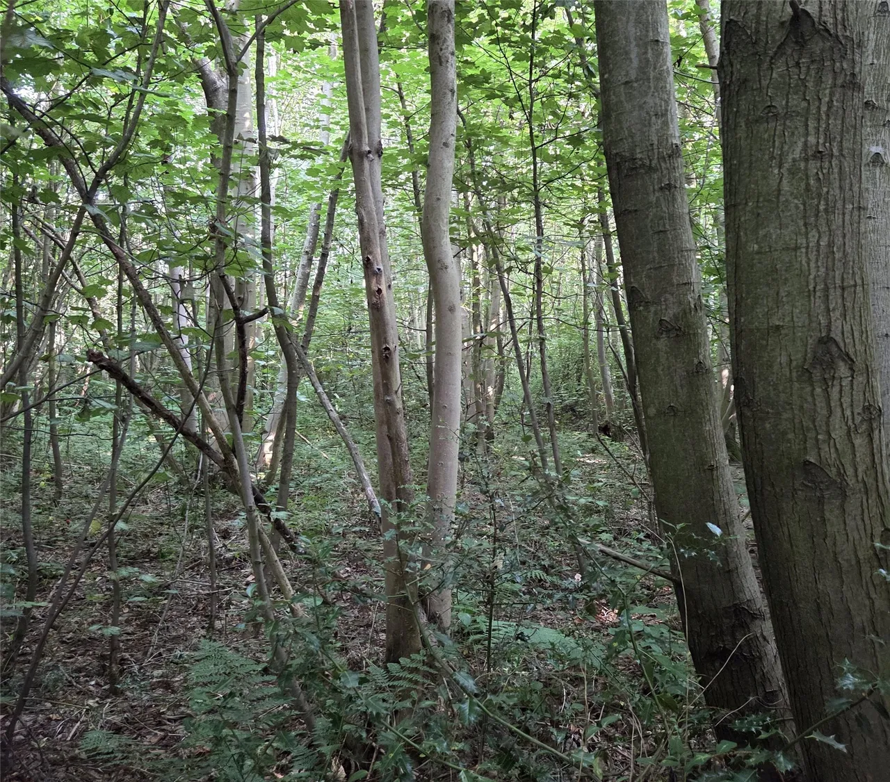 Whitepost Lane, Meopham, DA13, photo 4