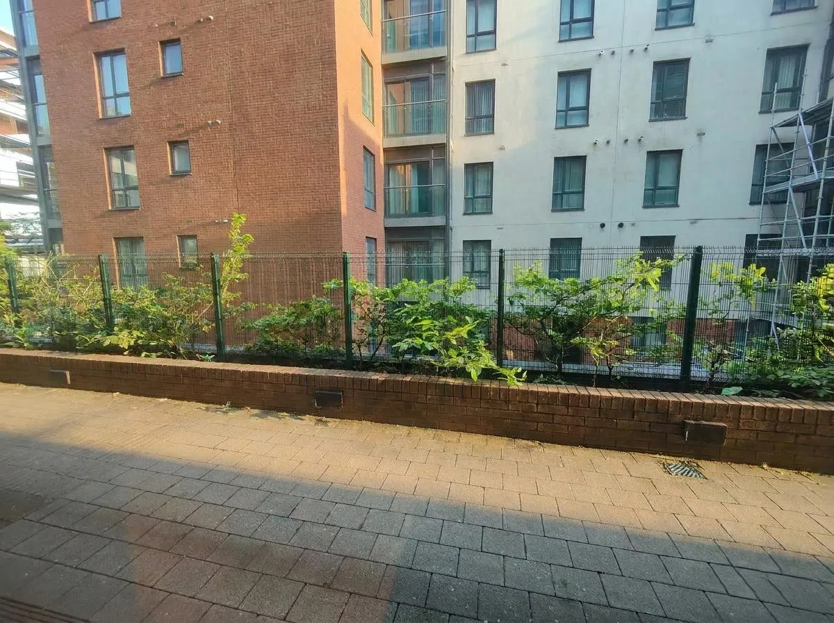 Pilot Street, Belfast, BT1, photo 18