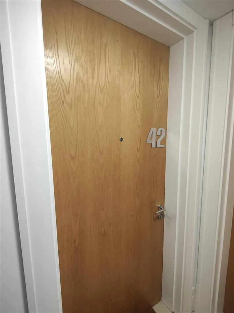 Pilot Street, Belfast, BT1, photo 5