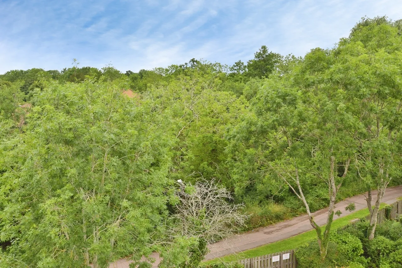 Calvie Croft, Hodge Lea, Buckinghamshire, MK12, photo 8