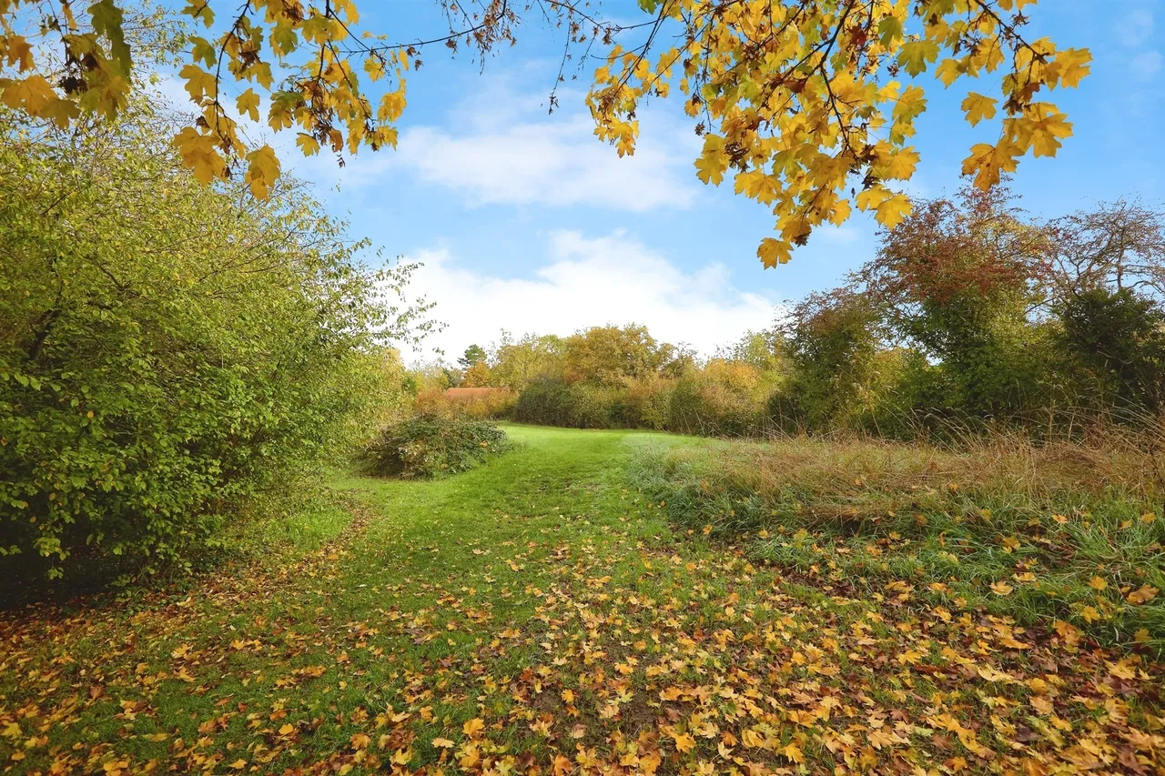 Horsefields, Gillingham, SP8, photo 12