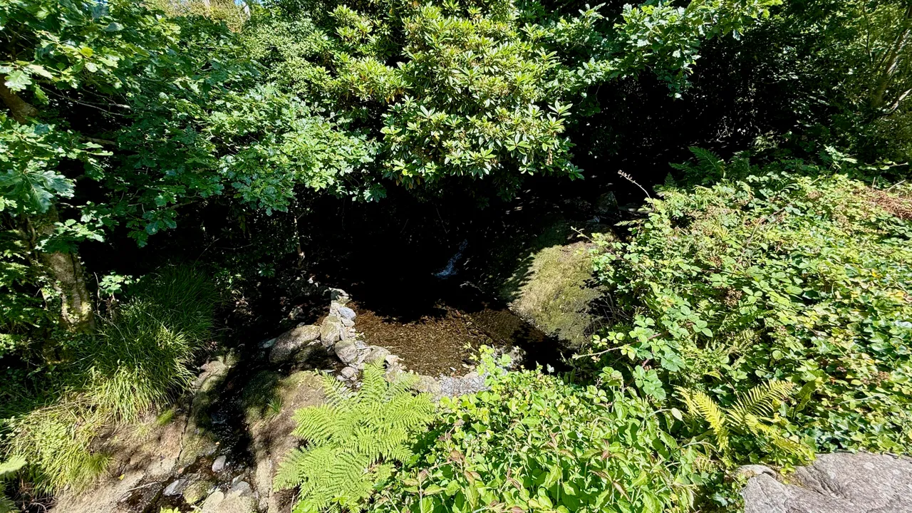 Tyn Llwyn, Talsarnau, LL47, photo 19
