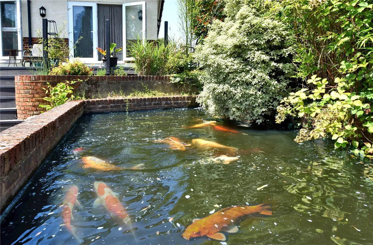 South Drive, Banstead, SM7, photo 21