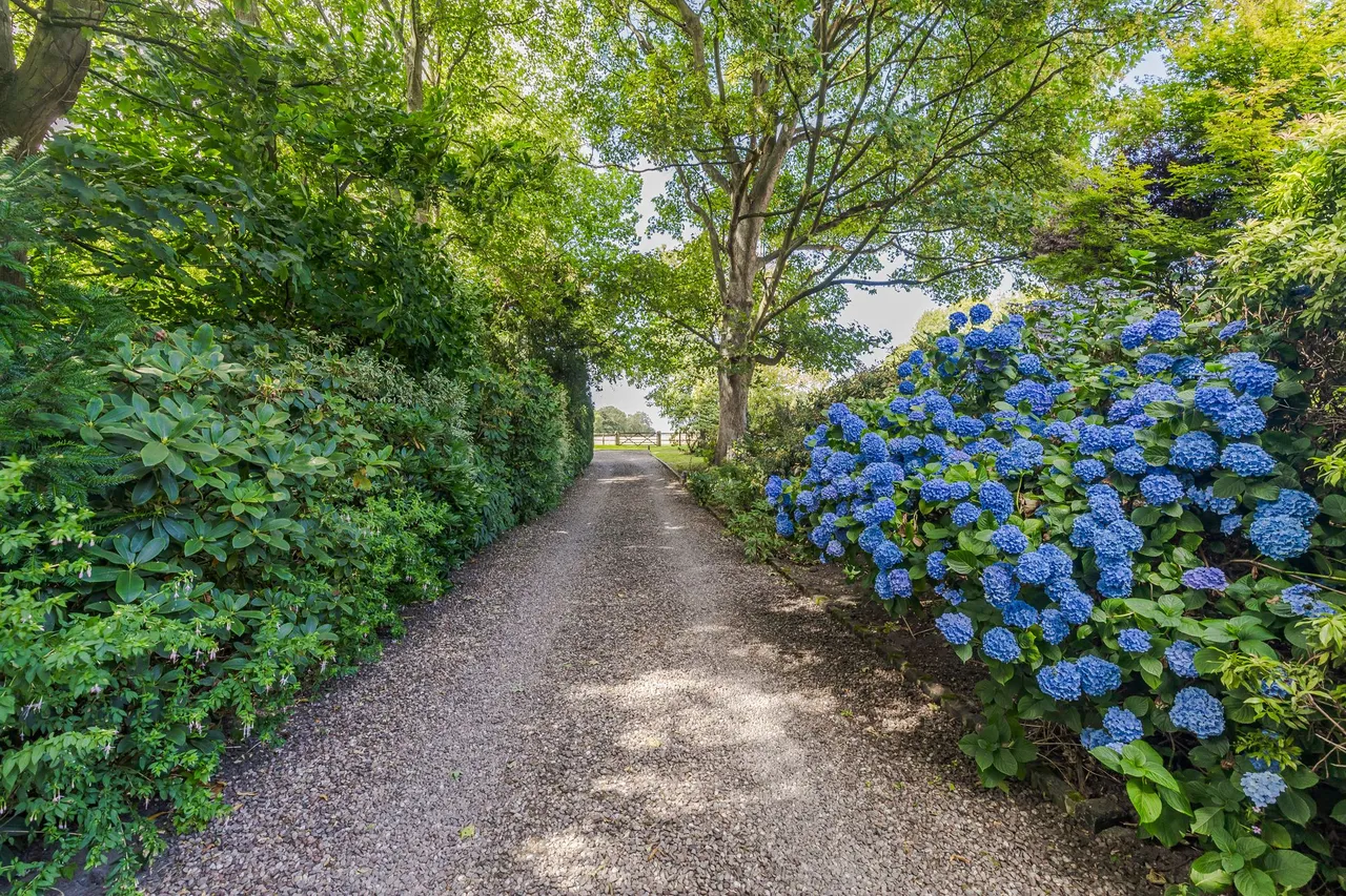 Manley, Frodsham, photo 7