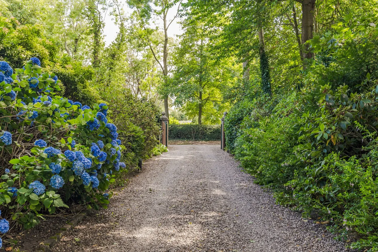 Manley, Frodsham, photo 6