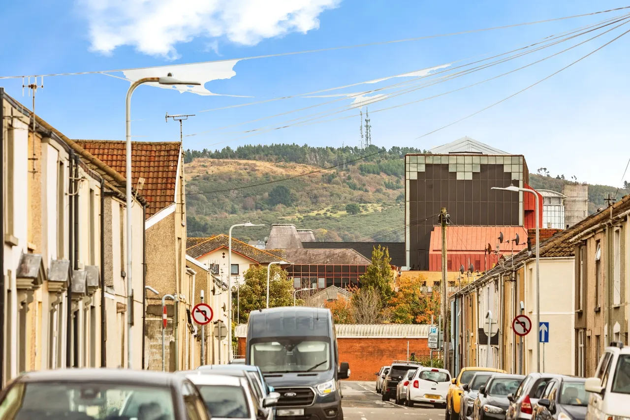 Spring Terrace, Swansea, photo 4