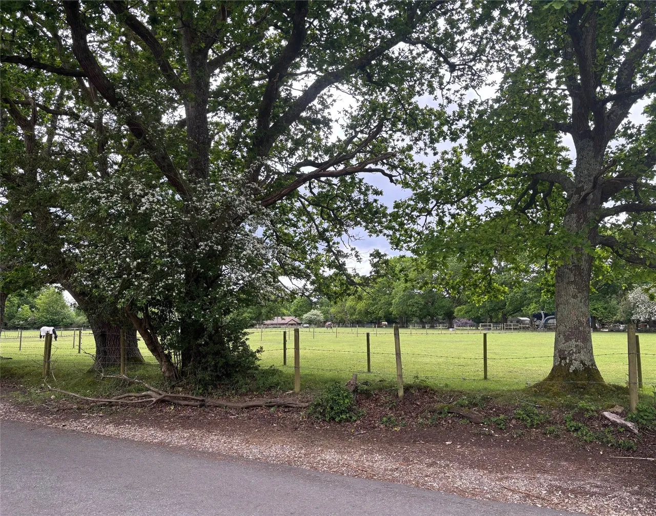 Hale, Fordingbridge, Hampshire, SP6 2NJ, photo 22