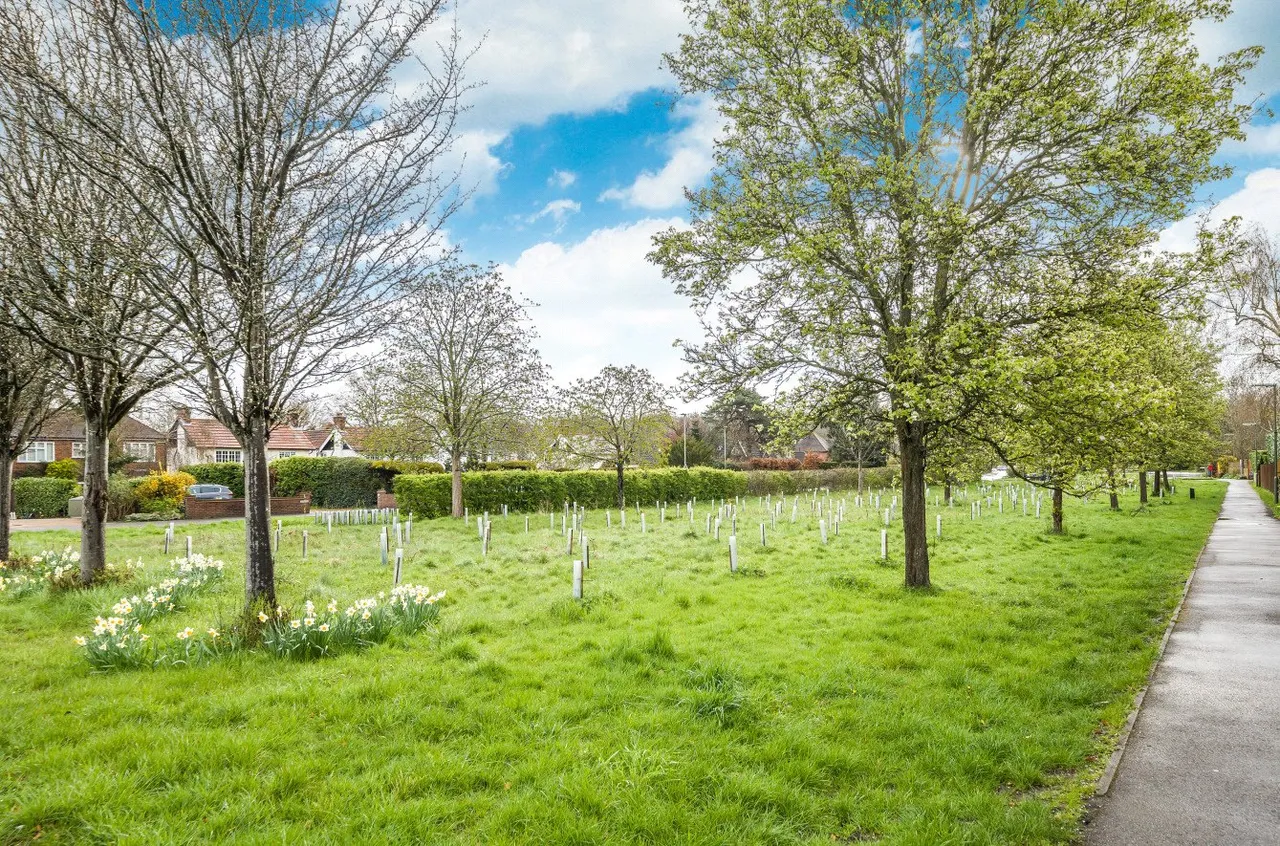 Burnet Avenue, Burpham, GU1, photo 17