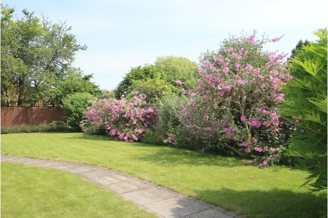 Queen Ediths Way, Cambridge, CB1, photo 3