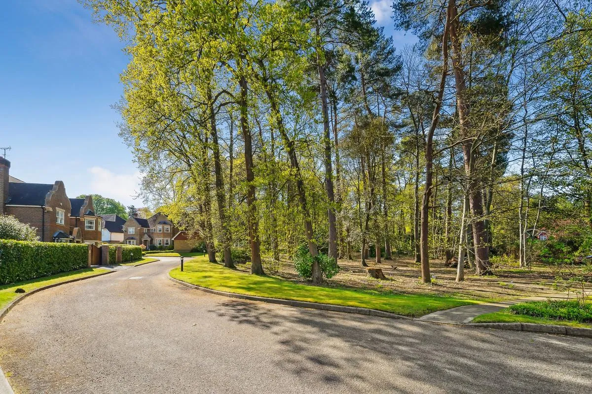 Sandringham Park, KT11, photo 25