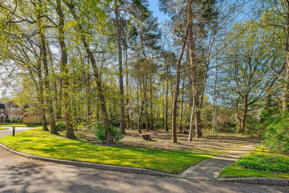Sandringham Park, KT11, photo 24