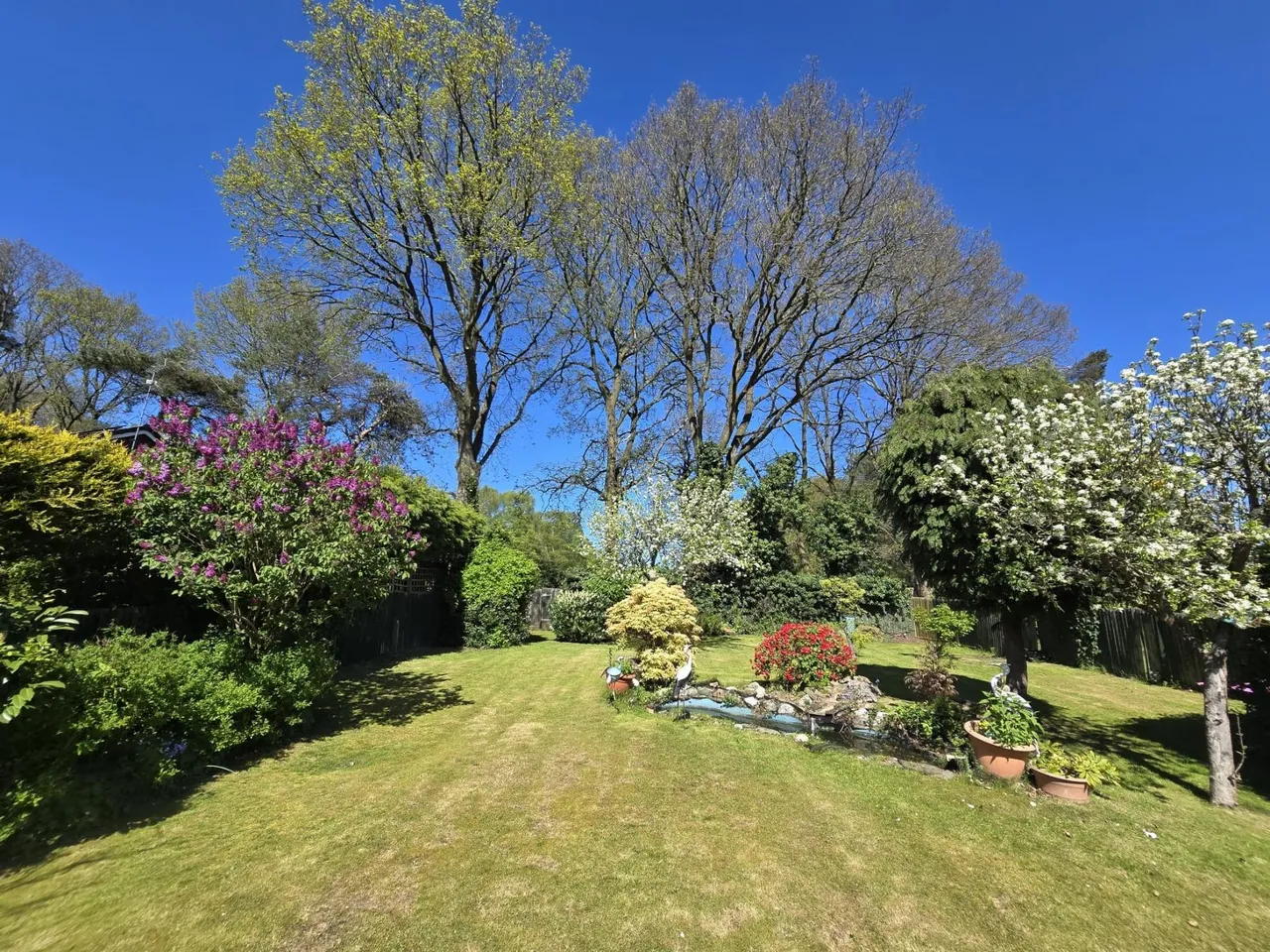 St. Andrews Road, Sutton Coldfield, B75, photo 15