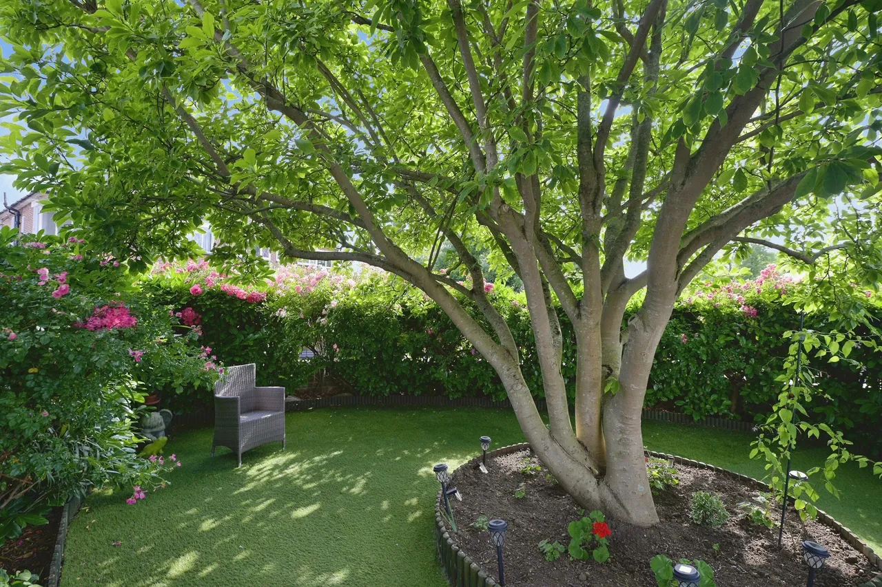 Cranbrook Drive, Romford, RM2, photo 15