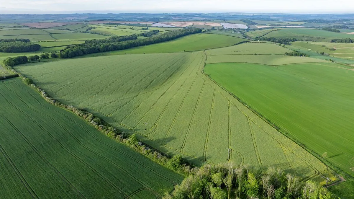 land for sale, Coombe Road, Winterbourne Steepleton, DT2