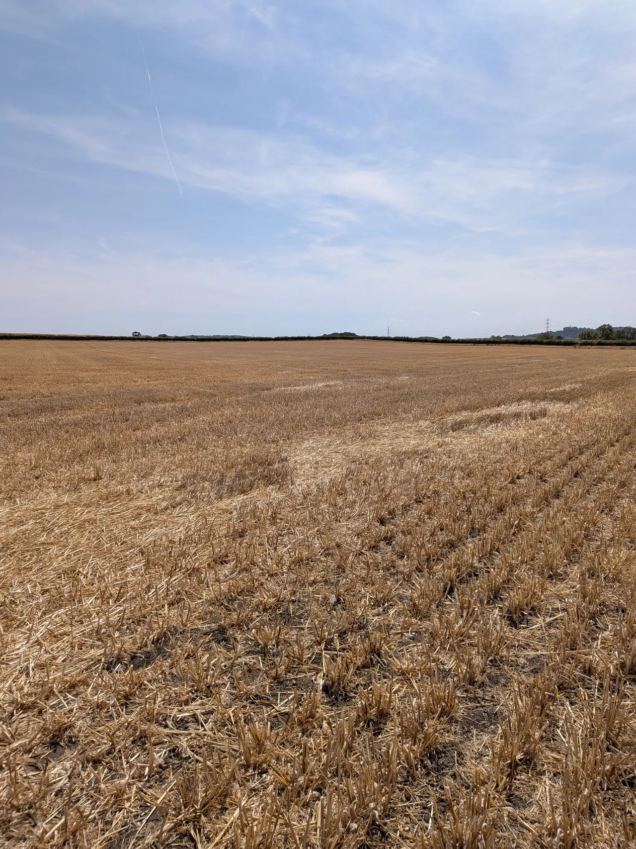 Castle View Road, Easthorpe, NG13, photo 7