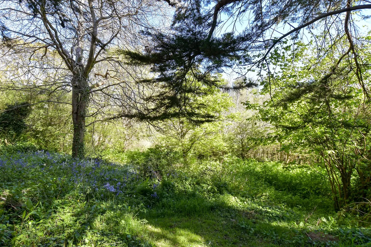Freshwater, PO40, photo 18