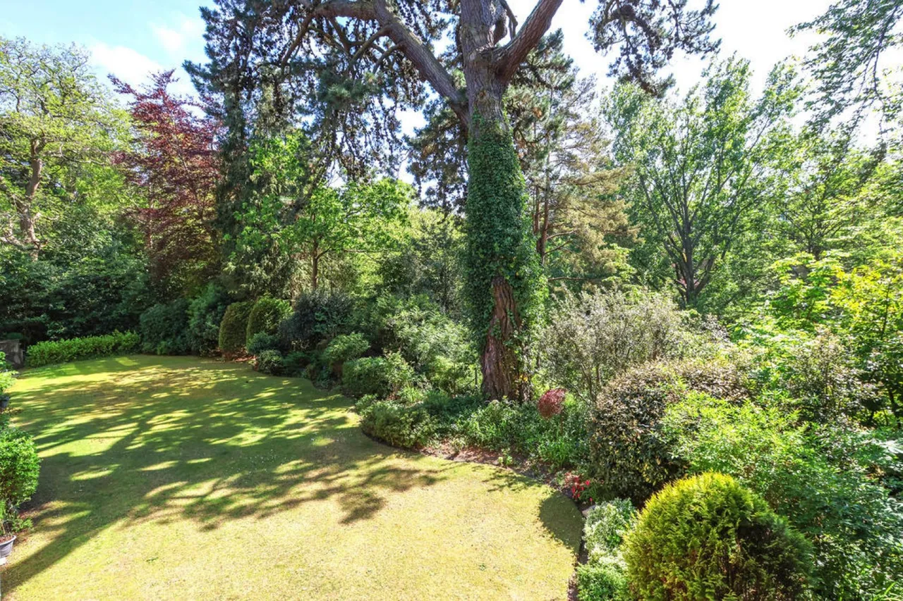 Branksome Wood Road, Bournemouth, photo 6