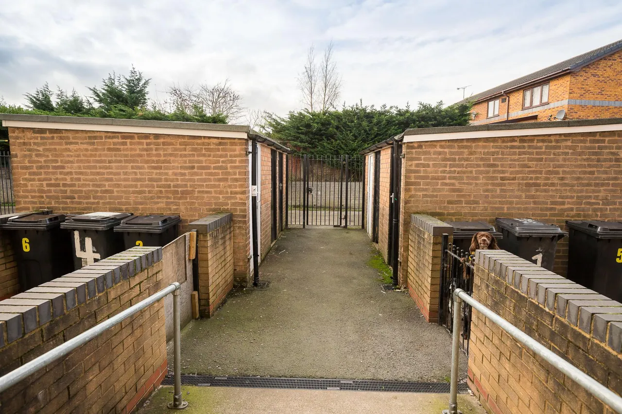 Ffordd Powell, Wrexham, LL11, photo 8