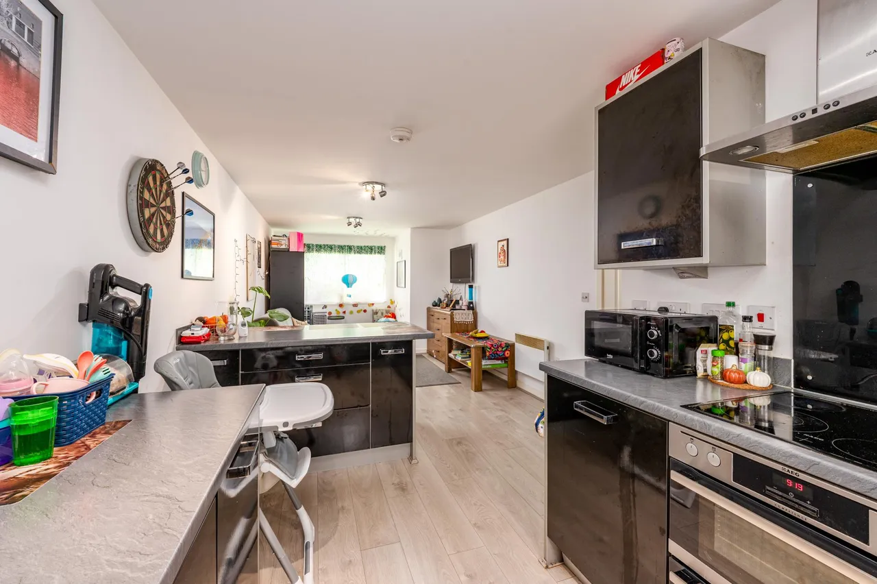 Springmeadow Road, Birmingham, B15, photo 5