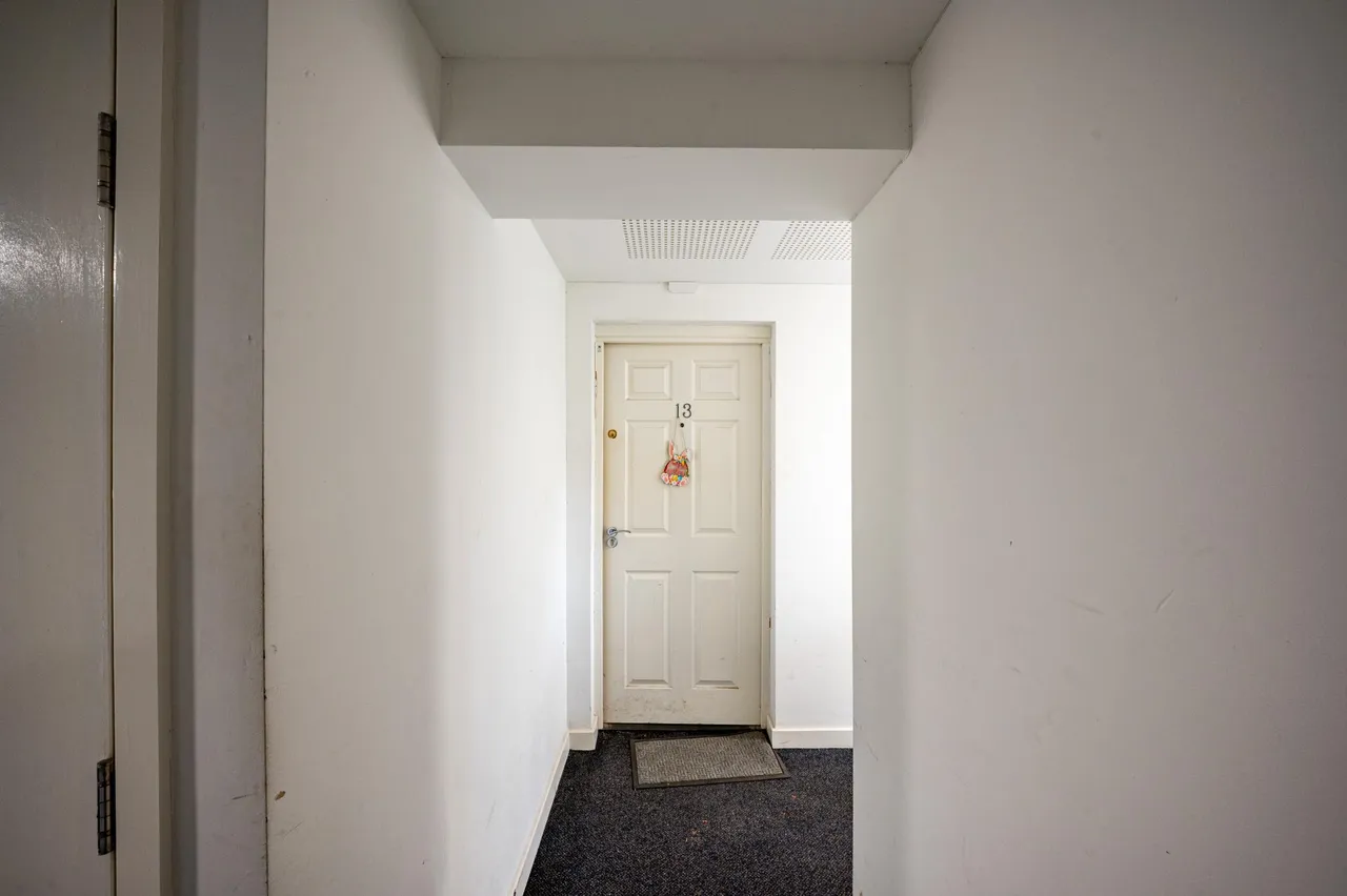 Springmeadow Road, Birmingham, B15, photo 19