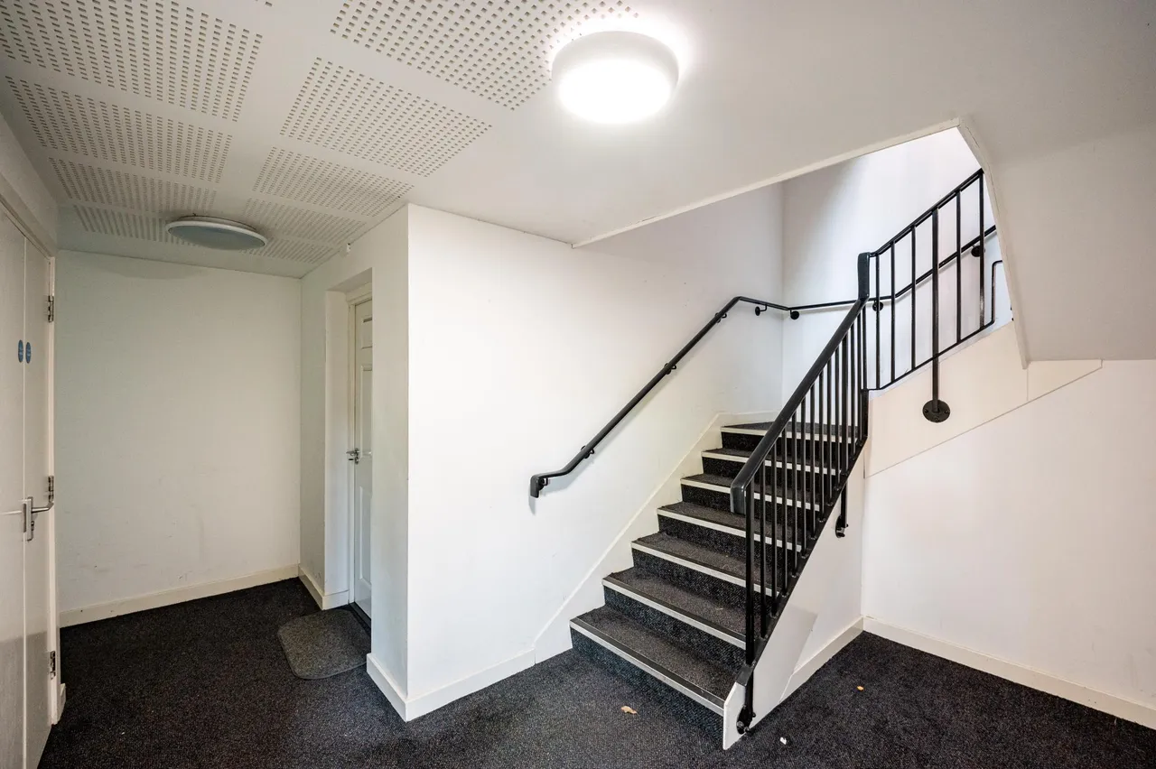 Springmeadow Road, Birmingham, B15, photo 21